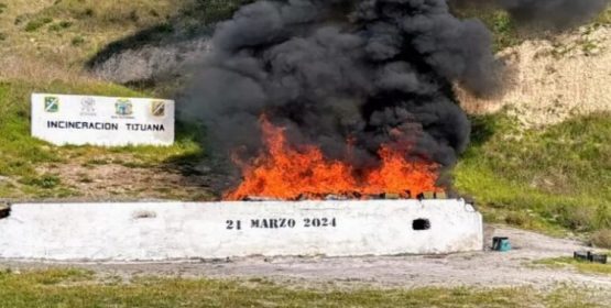 Baja California incinera más de 2 toneladas de narcóticos