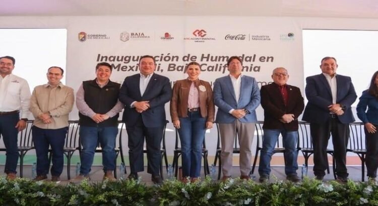 Baja California pone en marcha un humedal artificial para limpiar agua