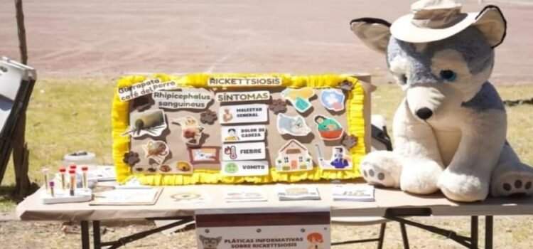 Reforzará Baja California acciones contra la Rickettsia en jornada nacional