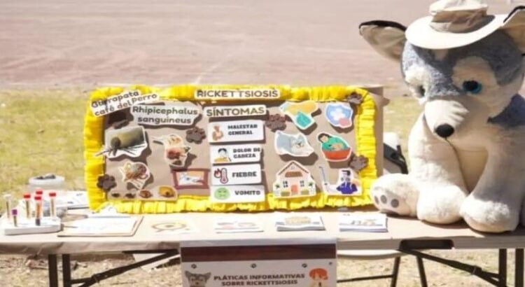 Reforzará Baja California acciones contra la Rickettsia en jornada nacional
