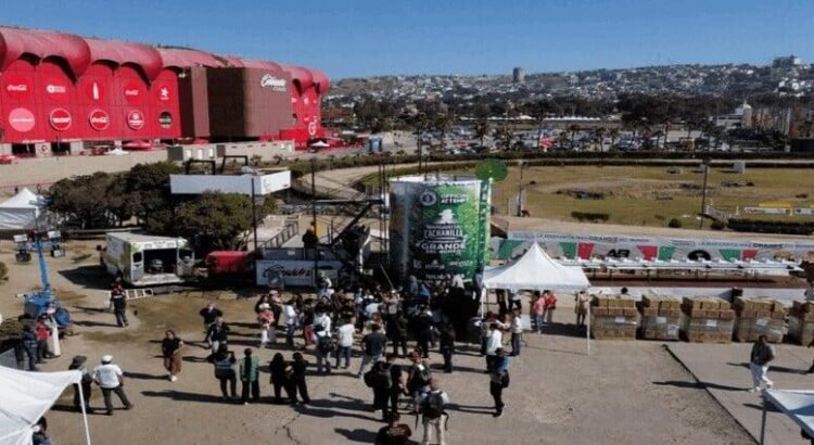 Tijuana supera el récord de la margarita más grande del mundo