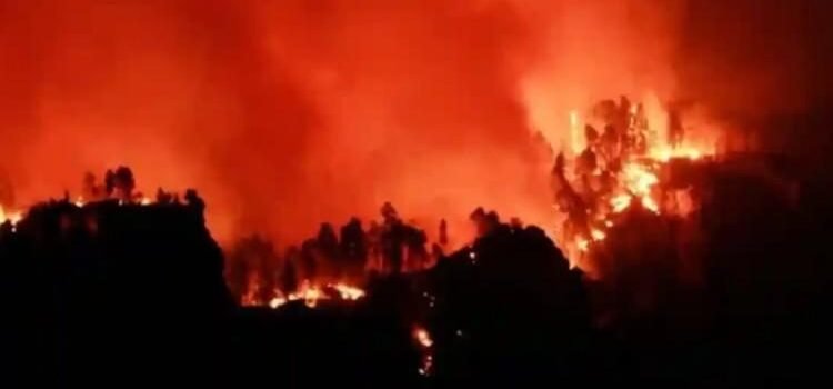 Crisis climática, “una amenaza urgente y existencial”: CIJ Crisis climática, “una amenaza urgente y existencial”: CIJ