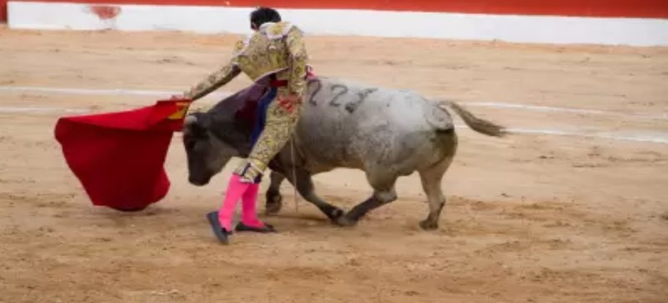 Corrida de toros en Tijuana pierde amparo por presuntas irregularidades en permisos
